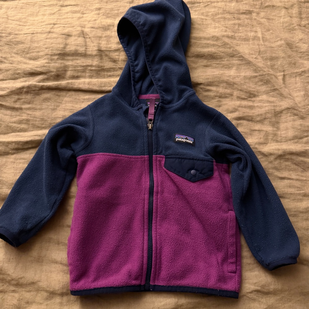 Patagonia Baby Micro D Snap T Fleece Size 12-18 months